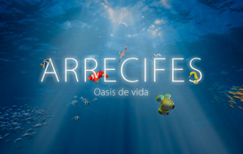 Arrecifes